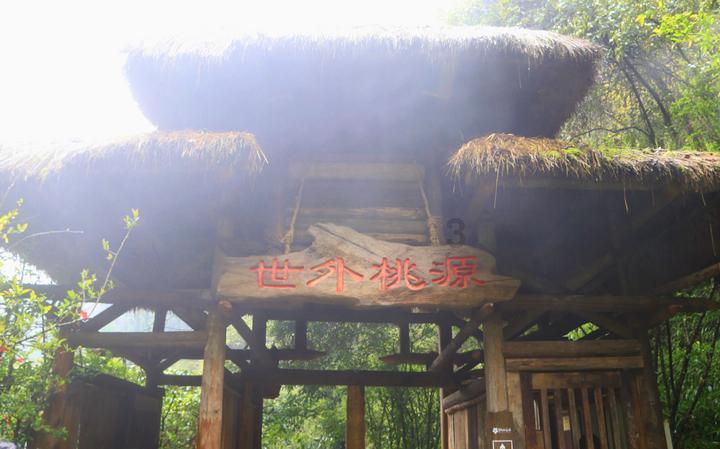 拯救者