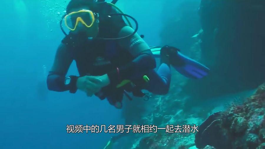 拯救者
