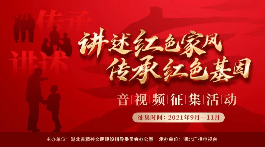 救援大嘴鸟